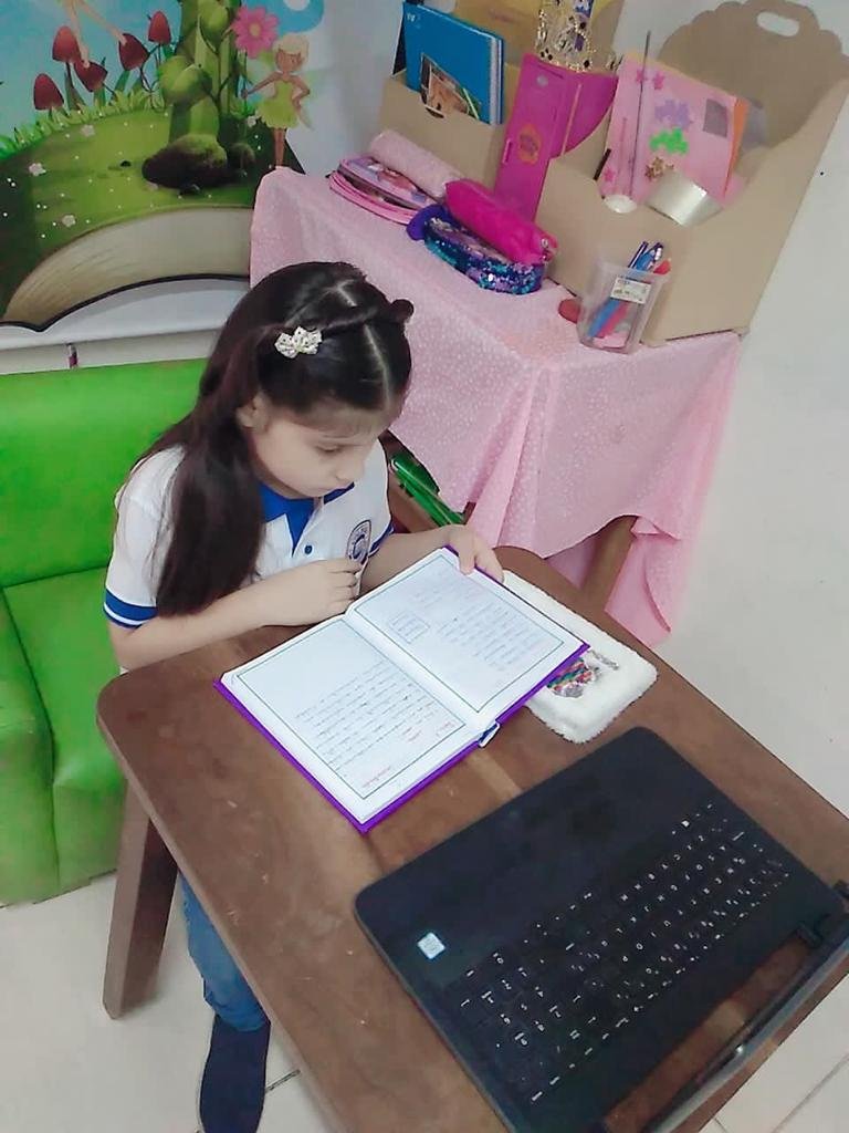 primaria en línea
