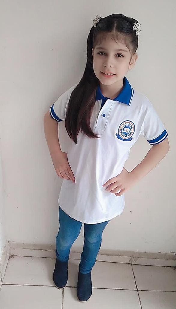 primaria en línea