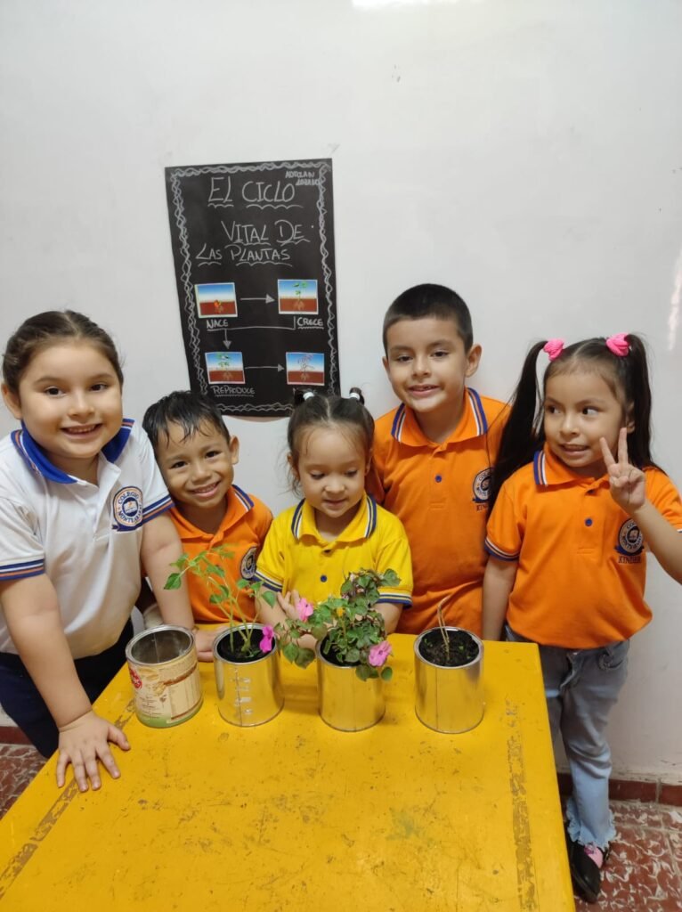 academias en línea